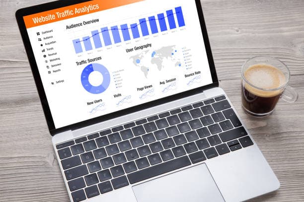 Website traffic analytics dashboard on a laptop showing audience, traffic sources and bounce rate for a grease trap company site